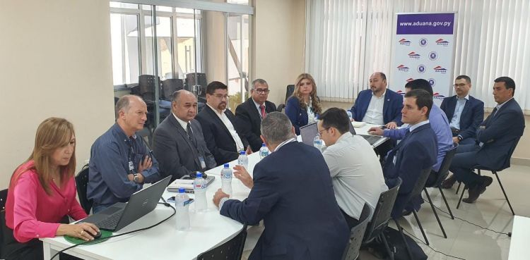 Proyecto de instalación de la planta de celulosa PARACEL