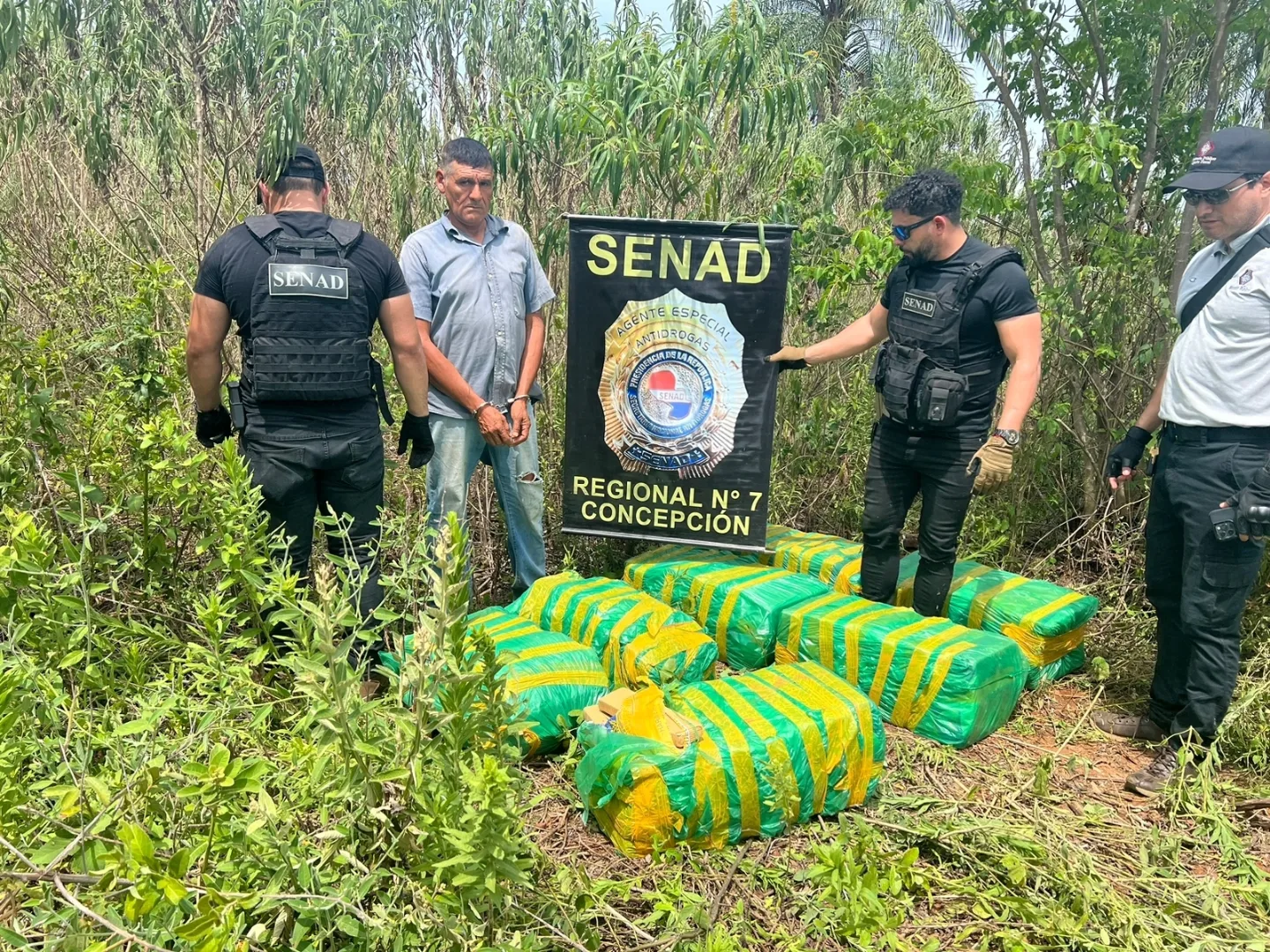 SENAD detecta más de 200 kilos de marihuana ocultos en una fosa